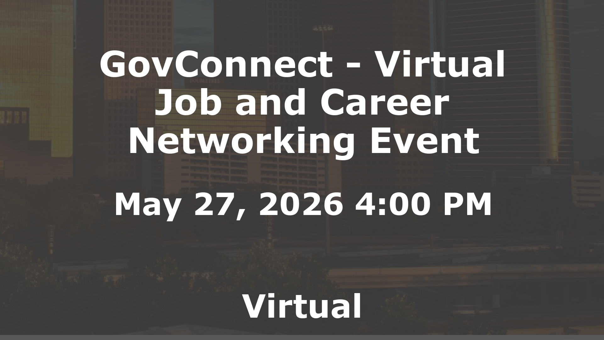 GovConnect - Virtual Job and Career Networking Event event image